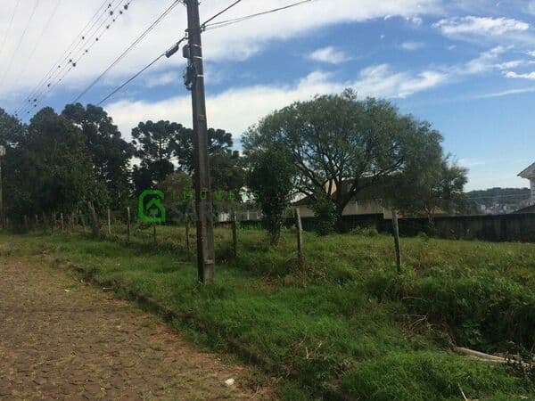 Terreno-para-Venda-em-Matinho-Xanxere-SC