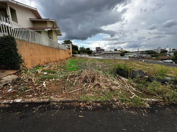 Terreno Bairro Tonial