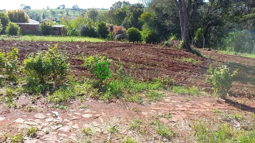 Lote/Terreno em Xaxim - Primavera