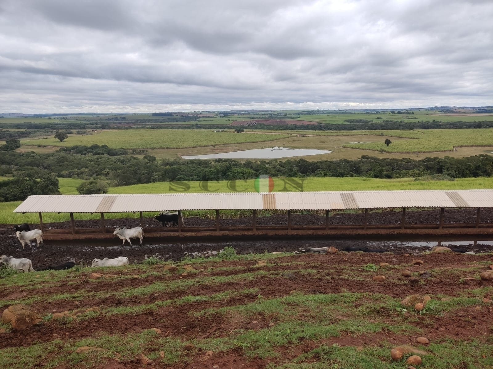 FAZENDA EM CERQUILHO- SP