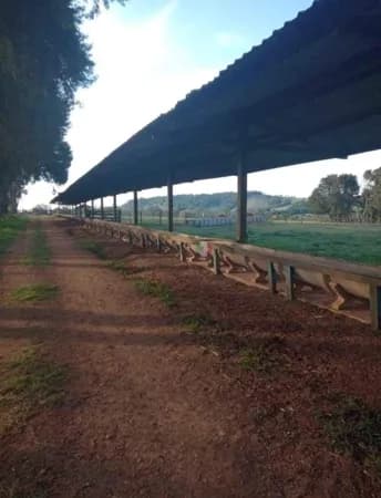 Fazenda em Itapetininga/SP