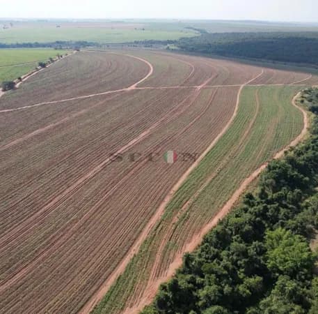 Fazenda em Araraquara