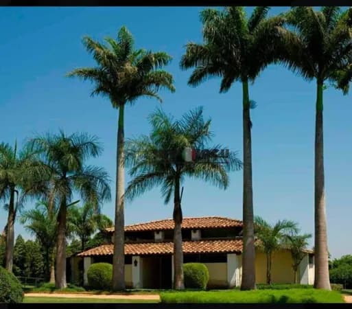 HARAS- PORTO FELIZ SP