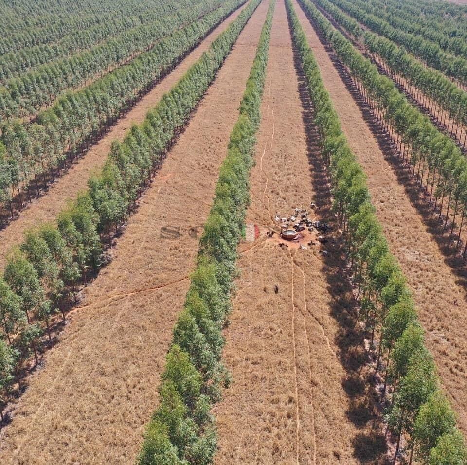 Fazenda em Curvelo