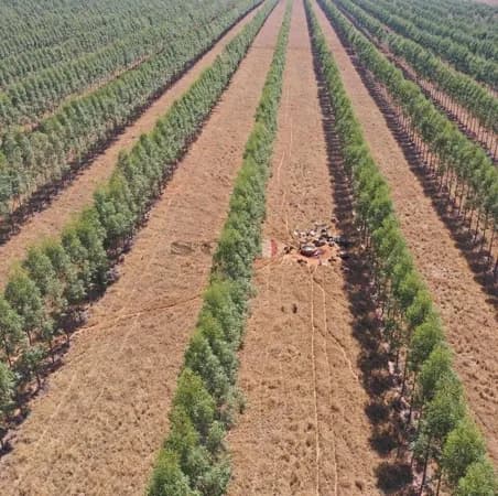 Fazenda em Curvelo