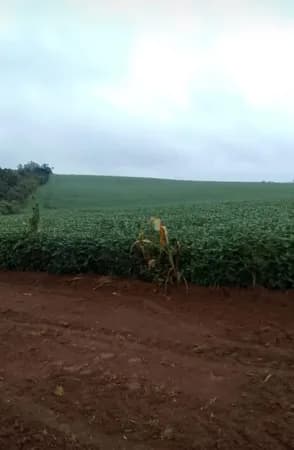 FAZENDA EM ITAPETININGA-SP
