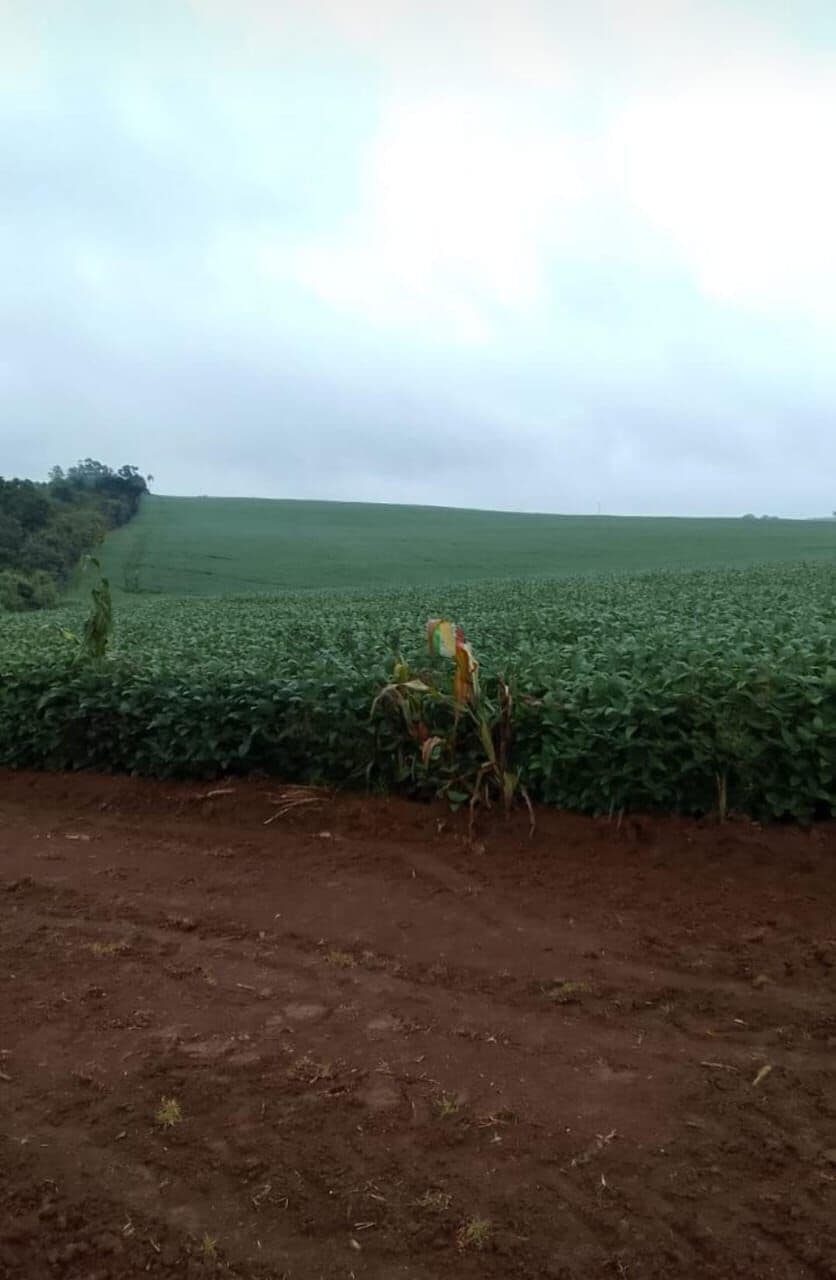 FAZENDA EM ITAPETININGA-SP