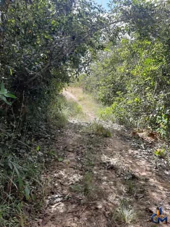 Fazenda Santa Rita do Trivelato