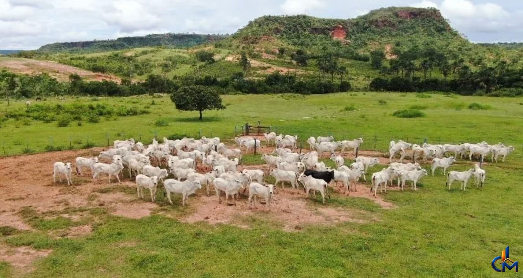 Fazenda em Guiratinga