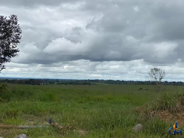 Fazenda no Cone Sul de Rondonia