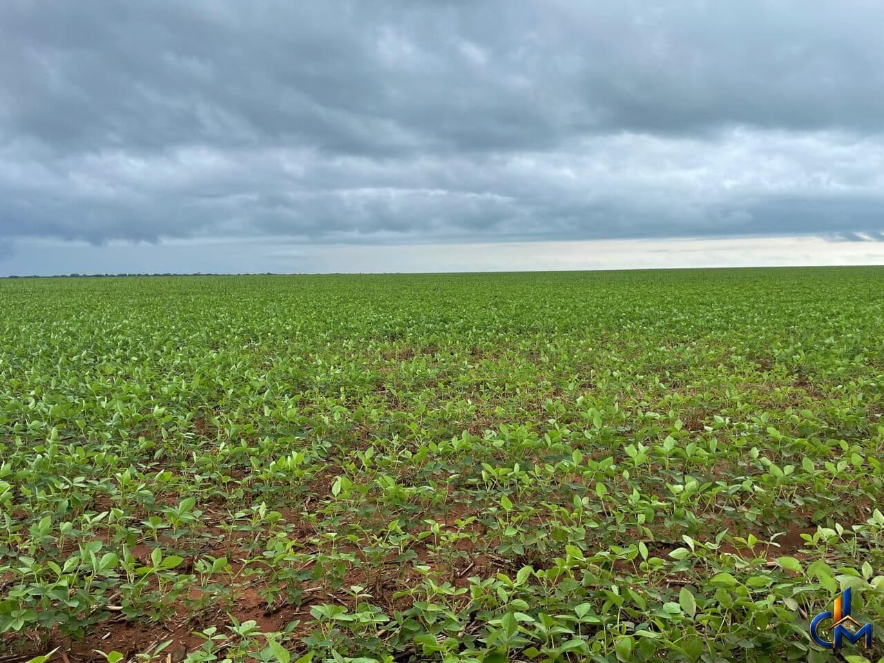 Fazenda em Querencia