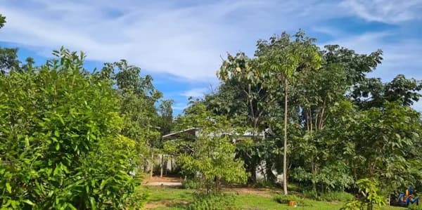 Cond. Flor do Cerrado