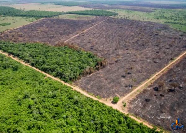 Área Nativa Garape-Miri