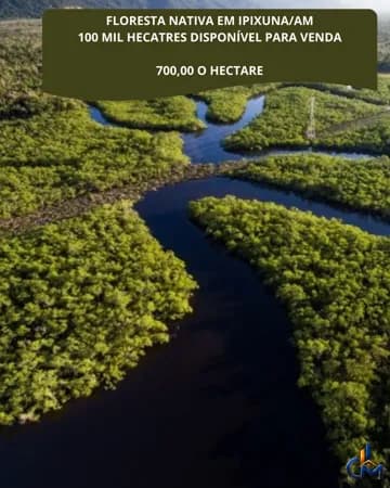 Area para credito de carbono