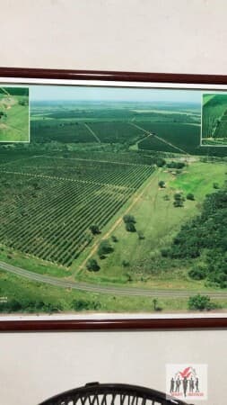 Fazenda/Sítios/Chácaras em Barretos - Doutor Paulo Prata