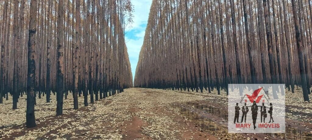 Fazenda/Sítios/Chácaras em Várzea da Palma - Centro