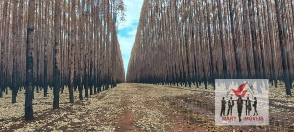 Fazenda/Sítios/Chácaras em Várzea da Palma - Centro