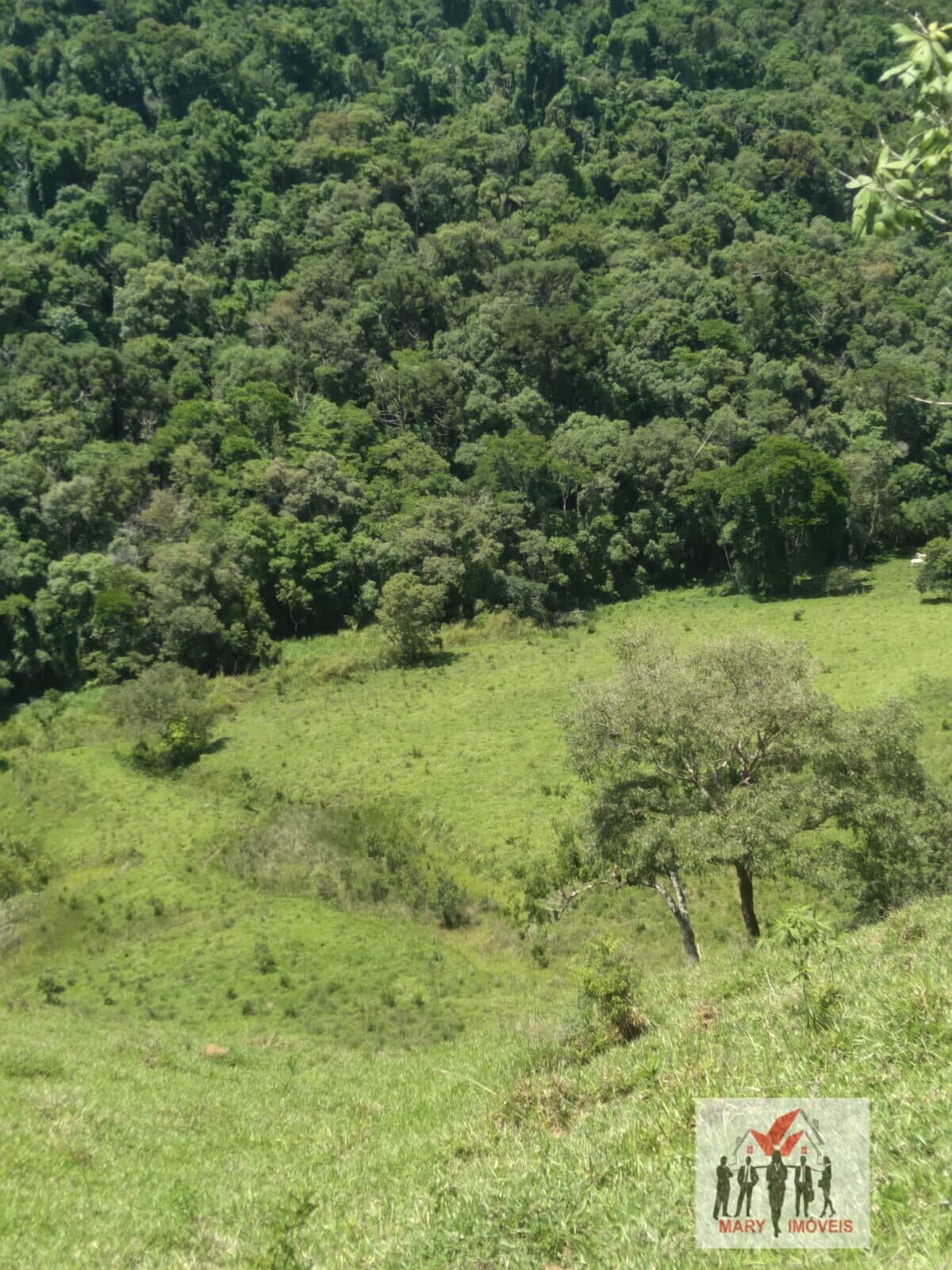 Fazenda/Sítios/Chácaras em Caldas - Centro