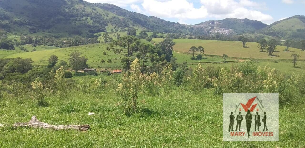 Fazenda/Sítios/Chácaras em Caldas - Centro