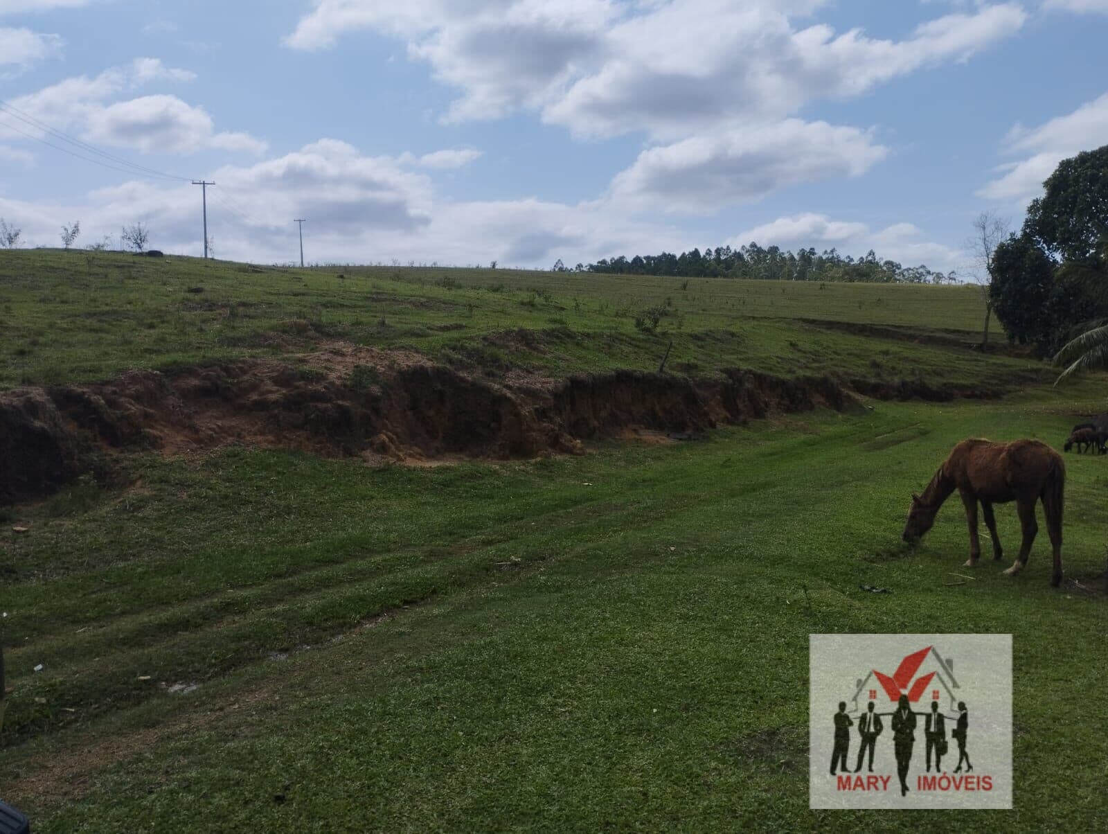 Fazenda/Sítios/Chácaras em Campos dos Goytacazes - Centro