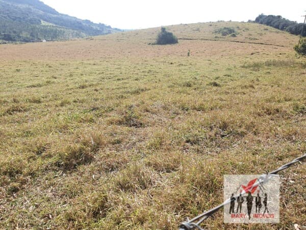 Fazenda/Sítios/Chácaras em Poços de Caldas - Zona Rural