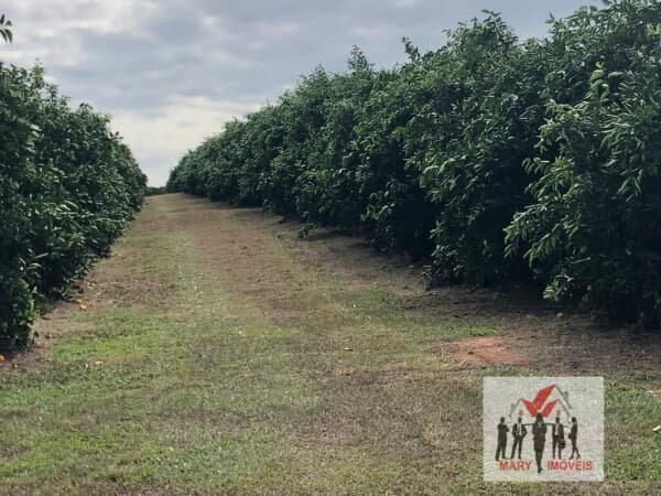 Fazenda/Sítios/Chácaras em Marília - Centro
