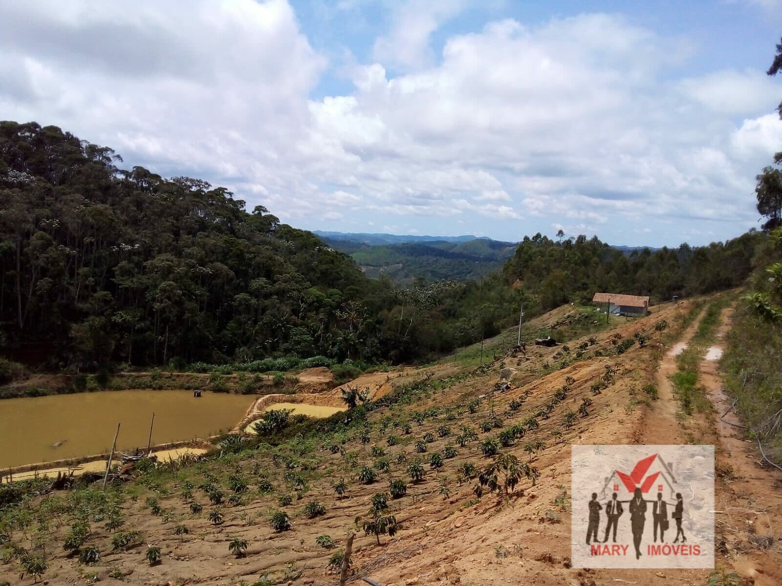 Fazenda/Sítios/Chácaras em Santa Maria de Jetibá - Centro