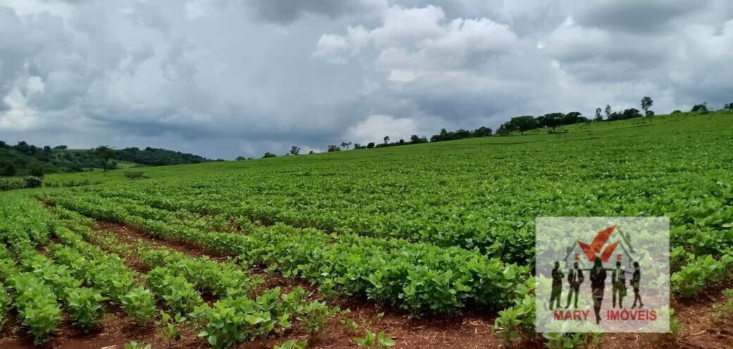 Fazenda/Sítios/Chácaras em Itamogi - Centro