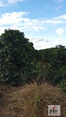 Fazenda/Sítios/Chácaras em Campestre - Centro
