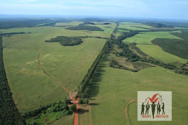 Fazenda/Sítios/Chácaras em Tocantins - Centro