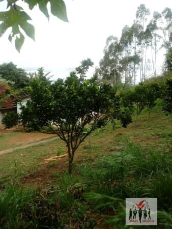 Fazenda/Sítios/Chácaras em Poços de Caldas - Chácara Poços de Caldas