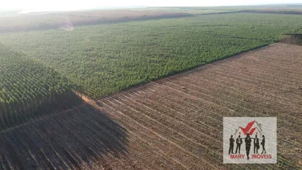 Fazenda/Sítios/Chácaras em Buritizeiro - Centro