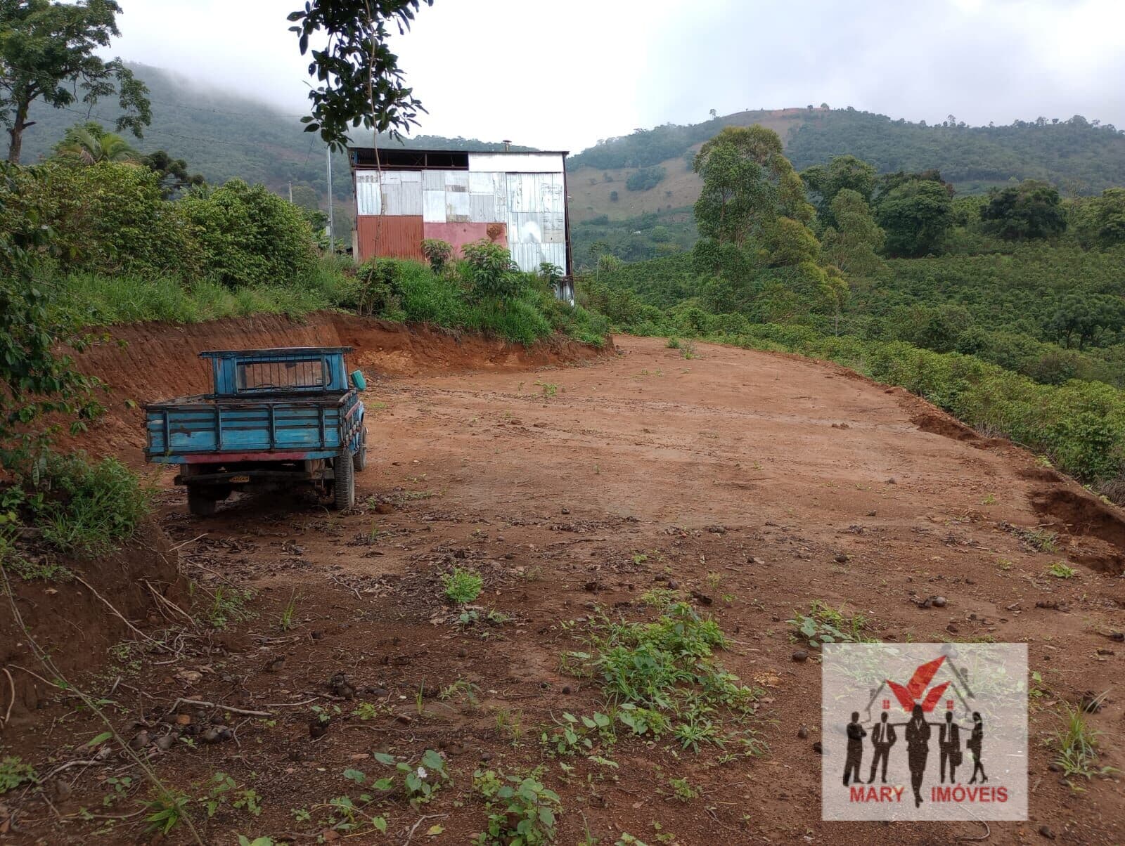 Fazenda/Sítios/Chácaras em Bandeira do Sul - Centro