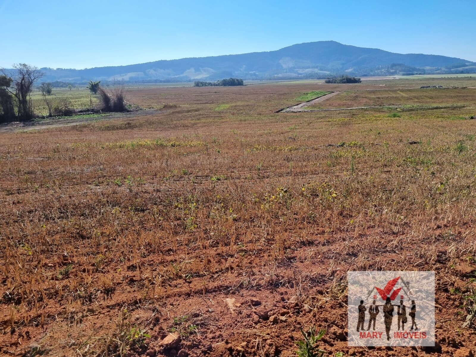Fazenda/Sítios/Chácaras em Congonhal - Centro