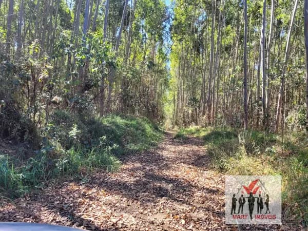 Fazenda/Sítios/Chácaras em Poços de Caldas - Centro