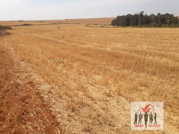 Fazenda/Sítios/Chácaras em Sacramento - Centro
