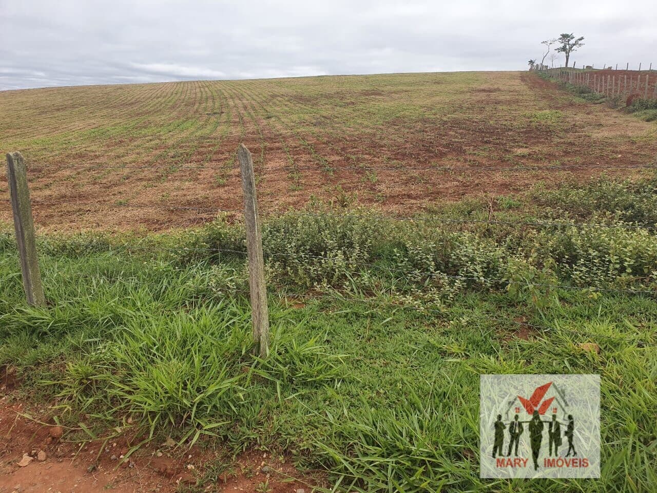 Fazenda/Sítios/Chácaras em Pouso Alegre - Área Rural de Pouso Alegre