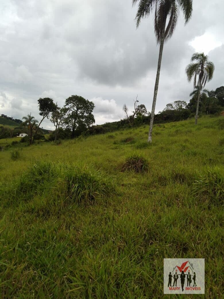 Fazenda/Sítios/Chácaras em Campestre - Centro