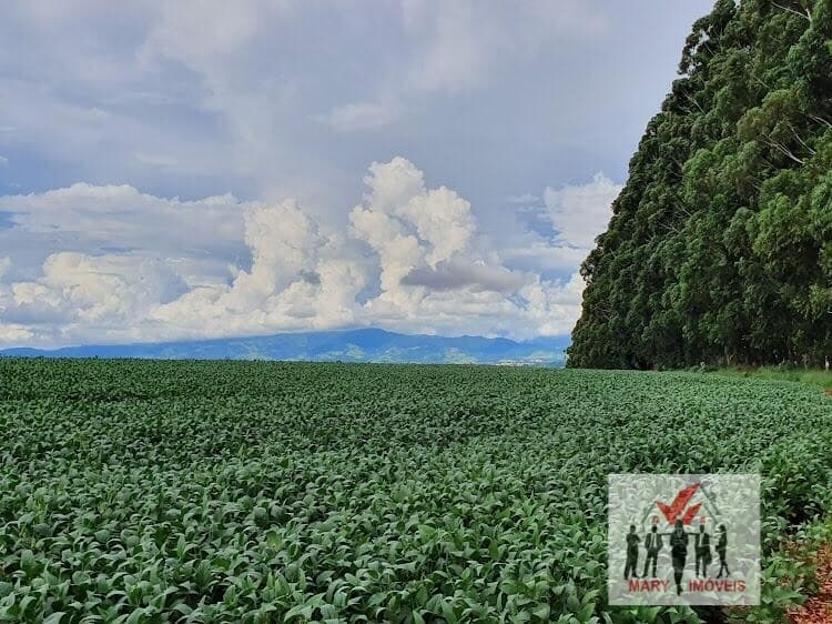 Fazenda/Sítios/Chácaras em São João da Boa Vista - Centro