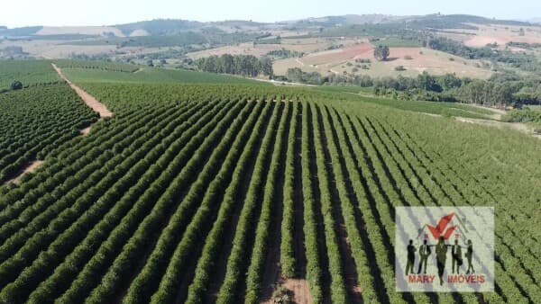 Fazenda/Sítios/Chácaras em Elói Mendes - Centro