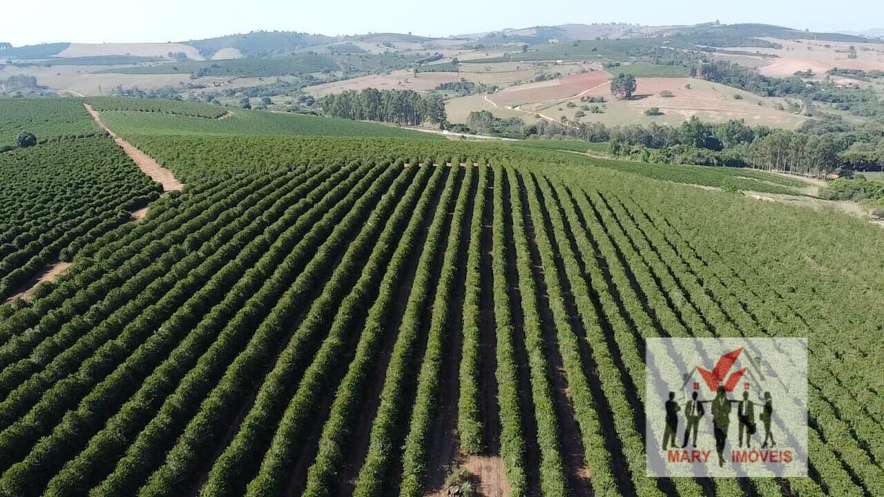 Fazenda/Sítios/Chácaras em Elói Mendes - Centro