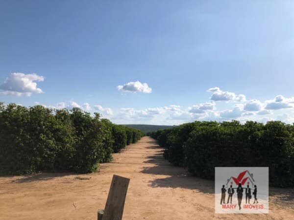 Fazenda/Sítios/Chácaras em Pará de Minas - Centro