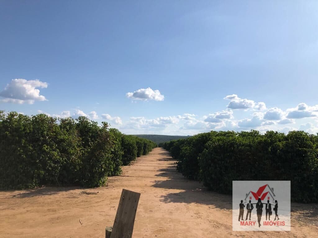 Fazenda/Sítios/Chácaras em Pará de Minas - Centro