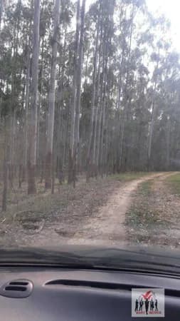 Fazenda/Sítios/Chácaras em São João do Paraíso - Centro