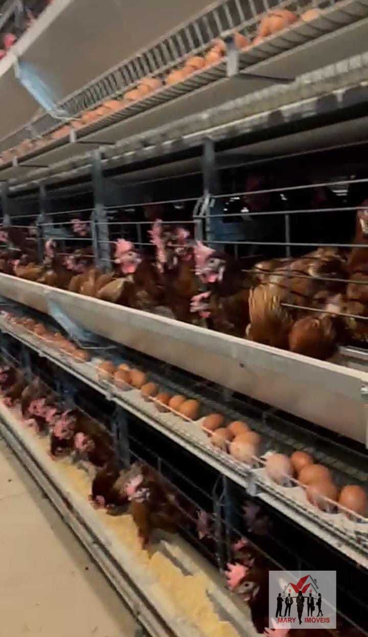 Galpão/Depósito/Armazém em São Paulo - Centro