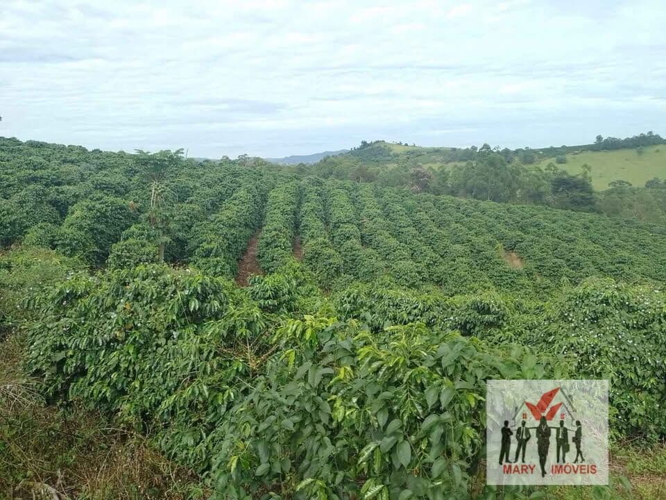 Fazenda/Sítios/Chácaras em Caconde - Centro
