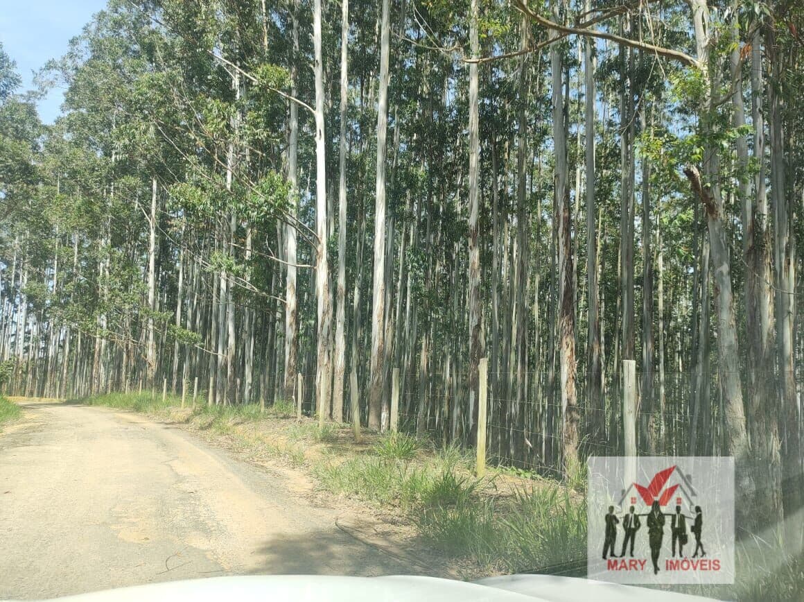Fazenda/Sítios/Chácaras em Lavrinhas - Centro