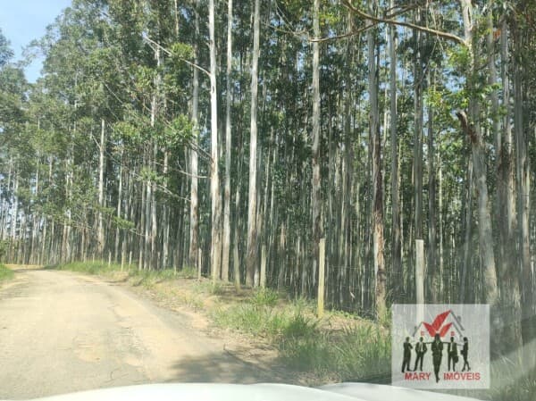 Fazenda/Sítios/Chácaras em Lavrinhas - Centro