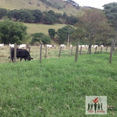 Fazenda/Sítios/Chácaras em Vargem Grande do Sul - Centro
