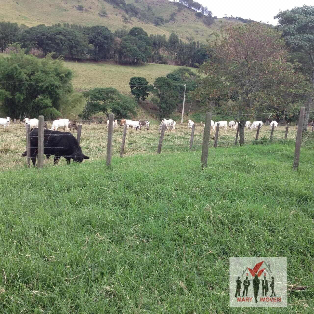Fazenda/Sítios/Chácaras em Vargem Grande do Sul - Centro